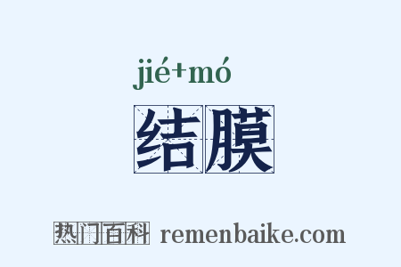 结膜是什么意思的图片